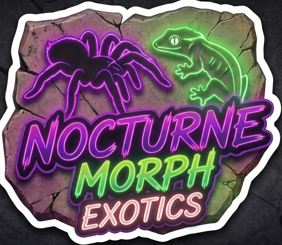 โลโก้ร้าน Nocturne Morph Exotics